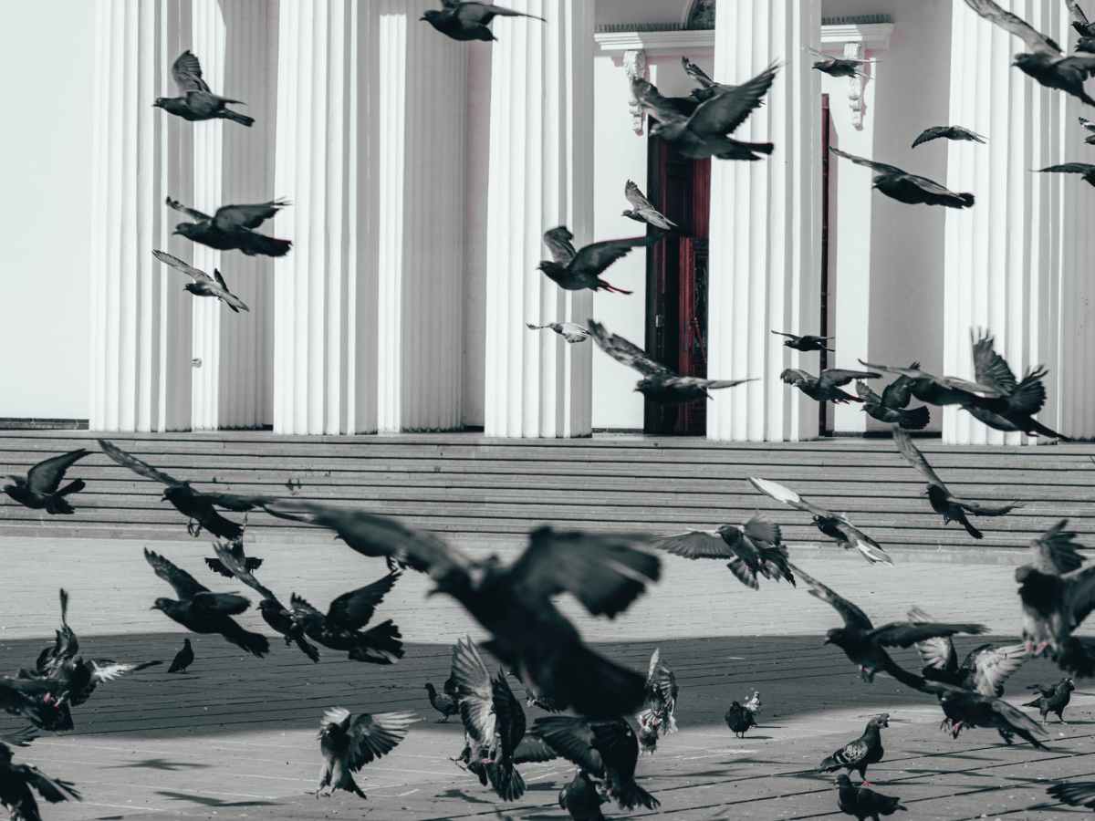 סיפור: זכרון צדקיה